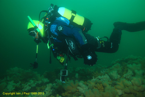 Diver (Newmill Reef)