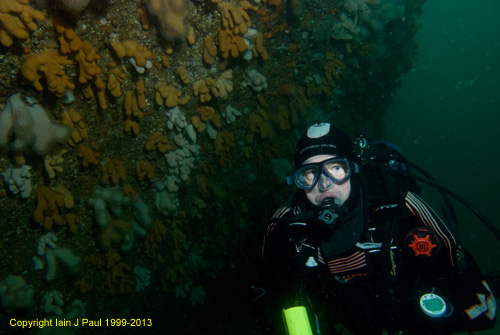 Diver by face (Gardenstown)