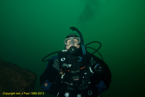 Diver in green water