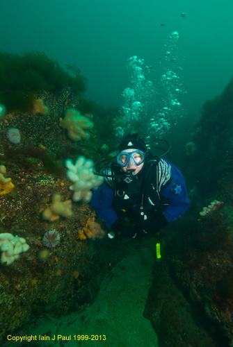 Diver in gulley