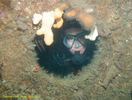 Diver thru porthole (Breda)