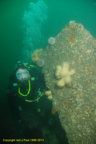 Diver with prop (Prestonian)