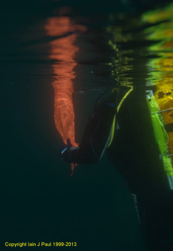 Reflections of diver at surface