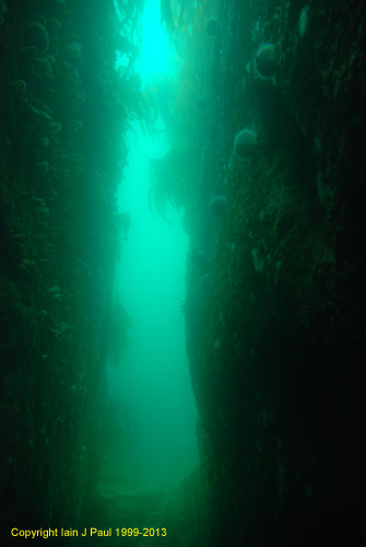 Rock swim thru (Rosehearty)