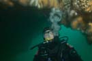 Diver in archway (Collie Head)