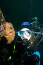 Diver with plumose anemones