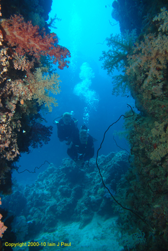 Divers through channel