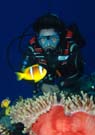 Diver with clownfish