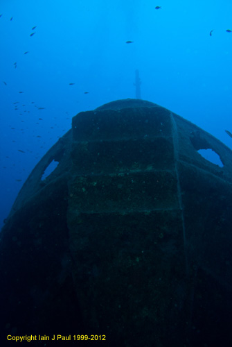 Rozi  bow from below