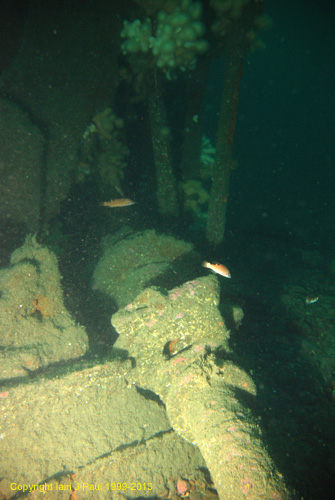 Moray engine  -prop shaft