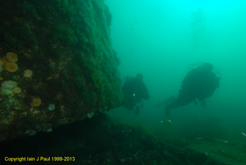 Prestonian boiler with divers